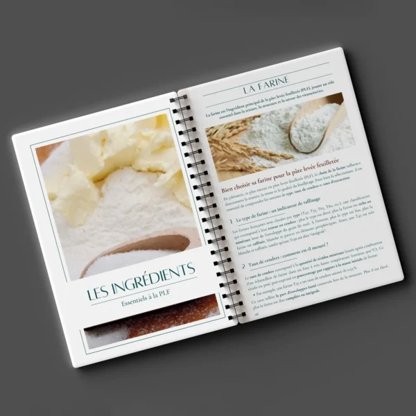 Livret9 Livre PLF Viennoiserie