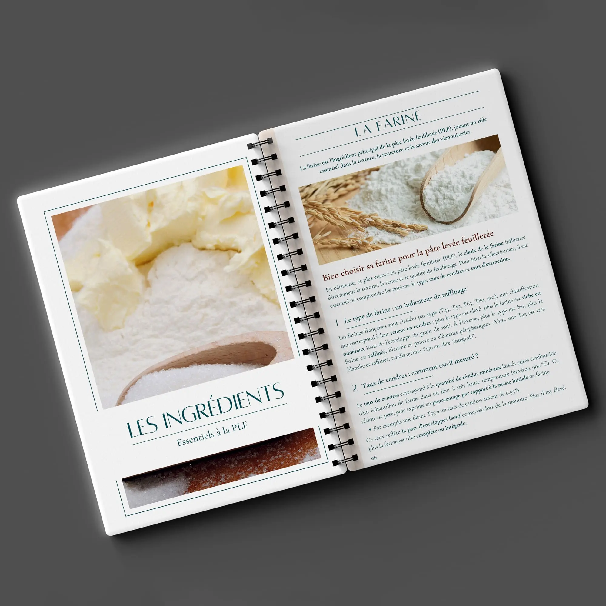 Livre PLF Viennoiserie